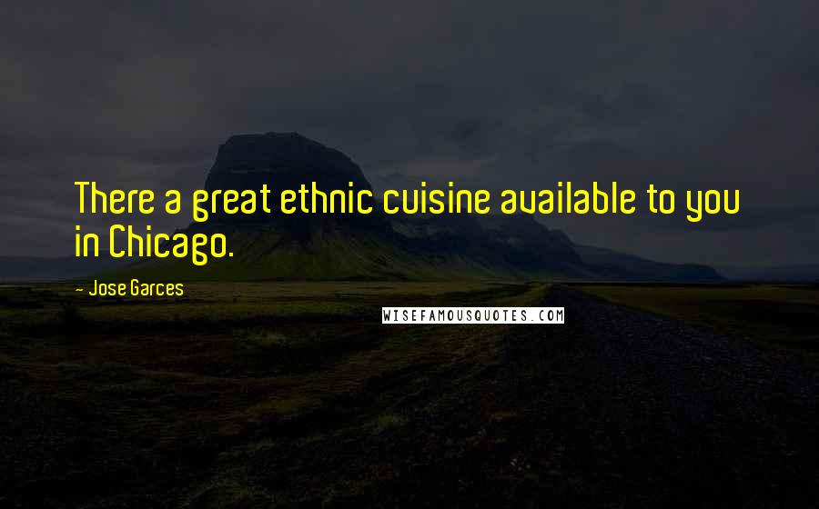 Jose Garces Quotes: There a great ethnic cuisine available to you in Chicago.