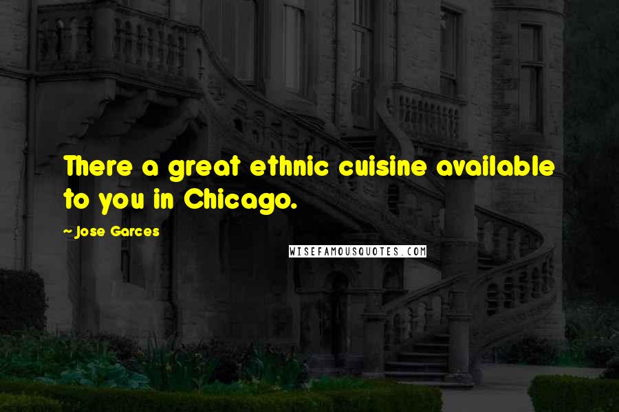 Jose Garces Quotes: There a great ethnic cuisine available to you in Chicago.
