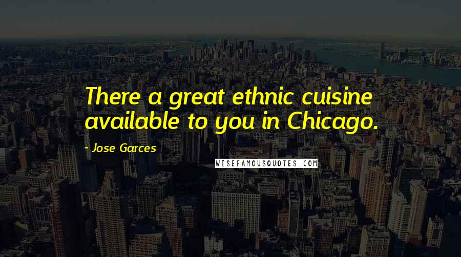 Jose Garces Quotes: There a great ethnic cuisine available to you in Chicago.