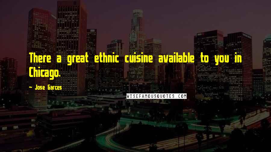 Jose Garces Quotes: There a great ethnic cuisine available to you in Chicago.