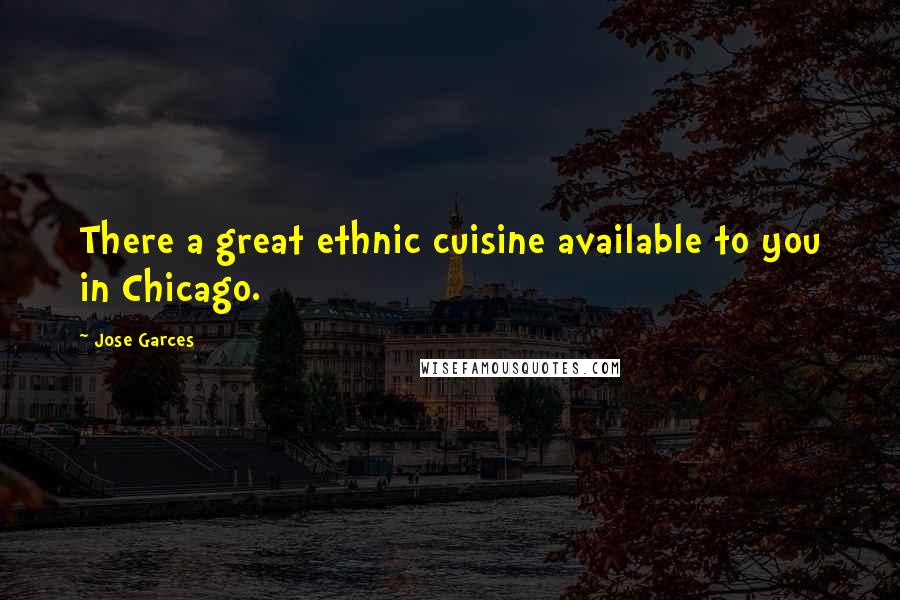 Jose Garces Quotes: There a great ethnic cuisine available to you in Chicago.