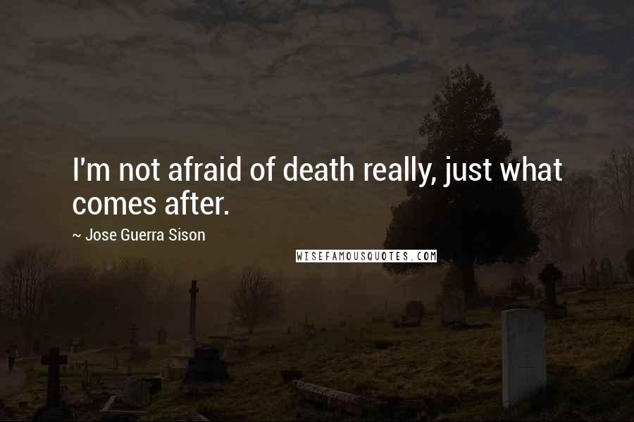 Jose Guerra Sison Quotes: I'm not afraid of death really, just what comes after.