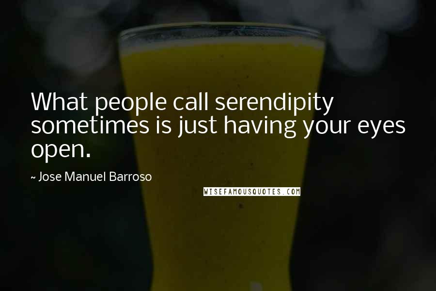 Jose Manuel Barroso Quotes: What people call serendipity sometimes is just having your eyes open.