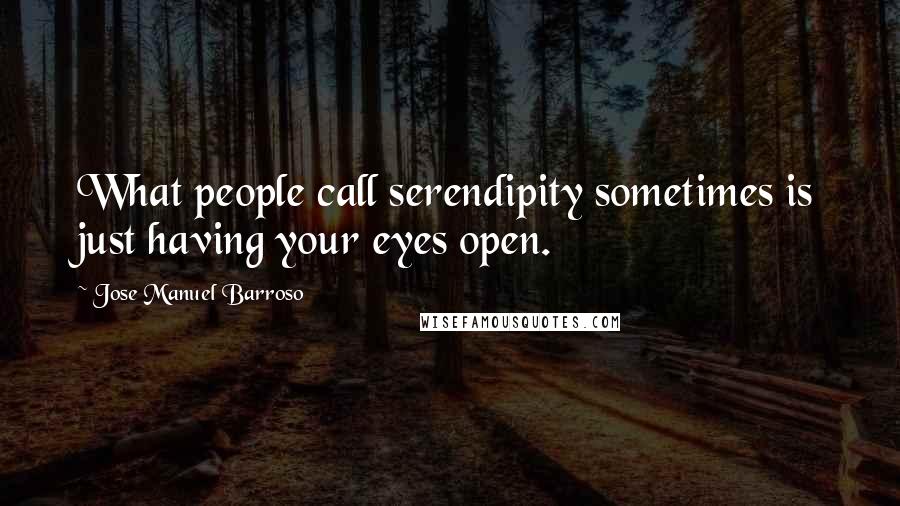 Jose Manuel Barroso Quotes: What people call serendipity sometimes is just having your eyes open.