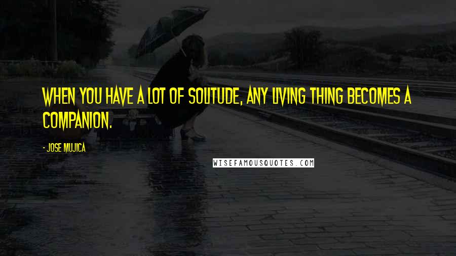 Jose Mujica Quotes: When you have a lot of solitude, any living thing becomes a companion.