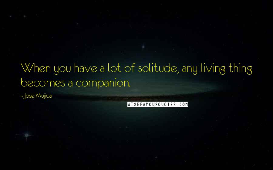 Jose Mujica Quotes: When you have a lot of solitude, any living thing becomes a companion.
