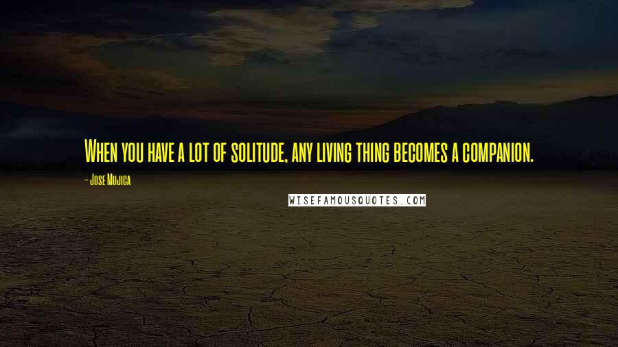 Jose Mujica Quotes: When you have a lot of solitude, any living thing becomes a companion.