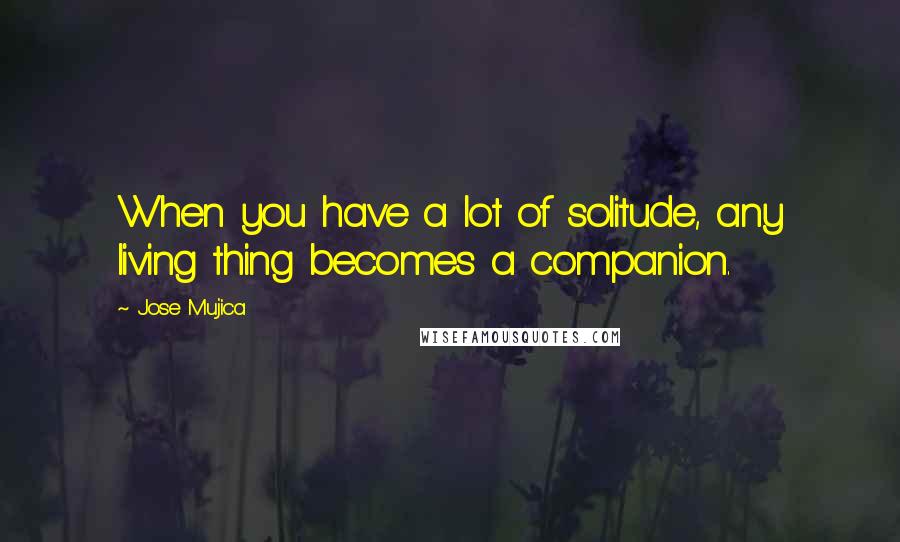 Jose Mujica Quotes: When you have a lot of solitude, any living thing becomes a companion.
