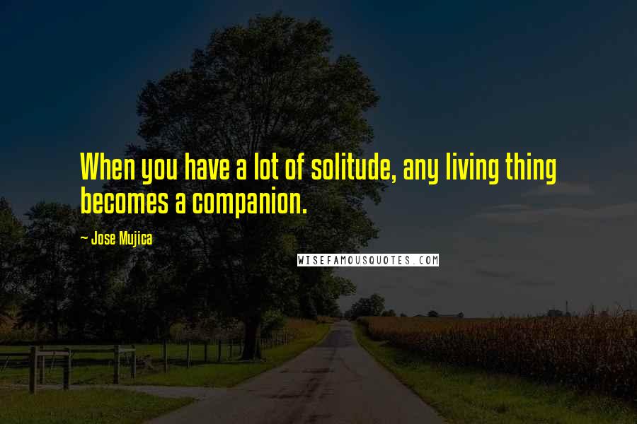 Jose Mujica Quotes: When you have a lot of solitude, any living thing becomes a companion.