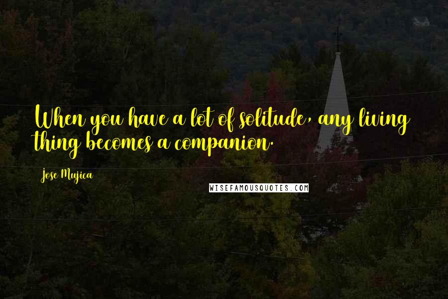 Jose Mujica Quotes: When you have a lot of solitude, any living thing becomes a companion.