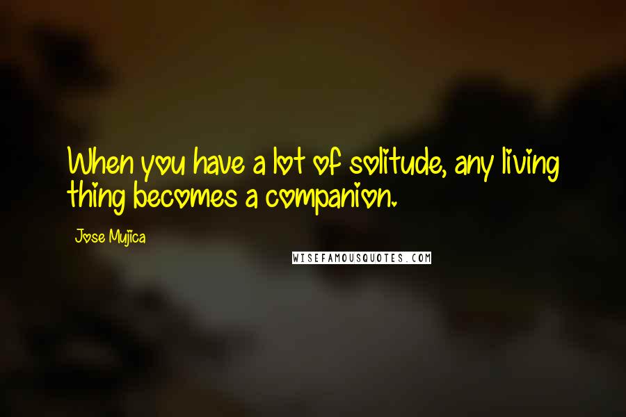 Jose Mujica Quotes: When you have a lot of solitude, any living thing becomes a companion.