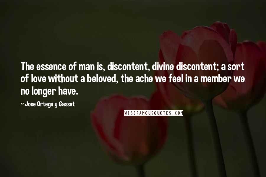 Jose Ortega Y Gasset Quotes: The essence of man is, discontent, divine discontent; a sort of love without a beloved, the ache we feel in a member we no longer have.