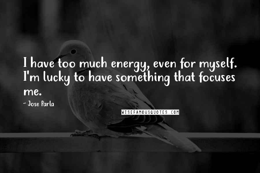 Jose Parla Quotes: I have too much energy, even for myself. I'm lucky to have something that focuses me.