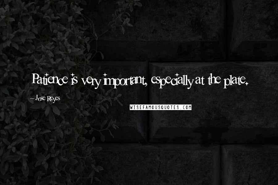 Jose Reyes Quotes: Patience is very important, especially at the plate.