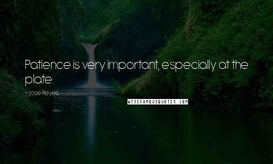 Jose Reyes Quotes: Patience is very important, especially at the plate.