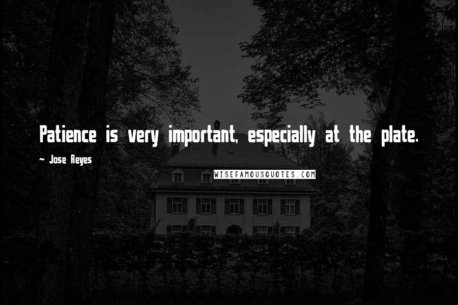 Jose Reyes Quotes: Patience is very important, especially at the plate.