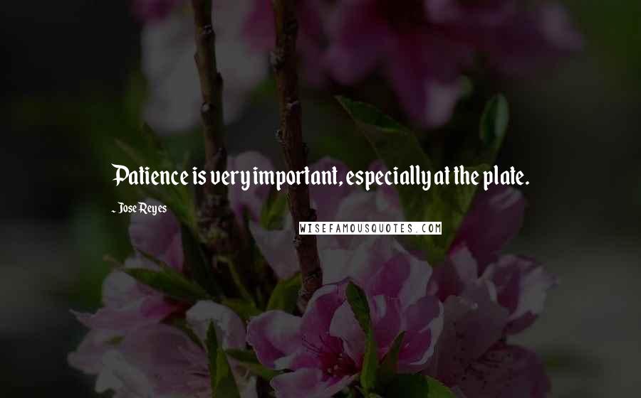 Jose Reyes Quotes: Patience is very important, especially at the plate.