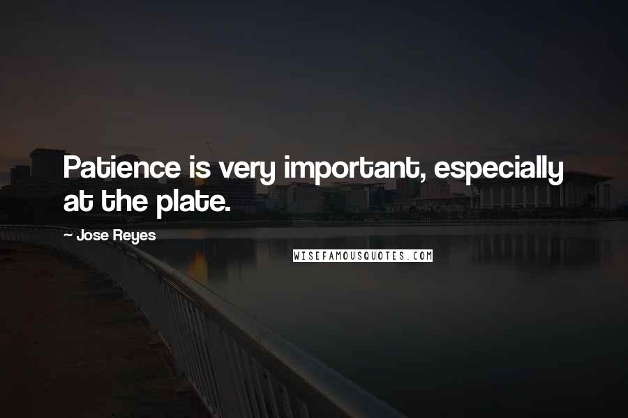 Jose Reyes Quotes: Patience is very important, especially at the plate.