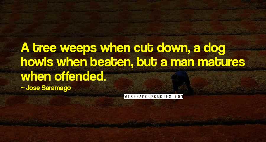 Jose Saramago Quotes: A tree weeps when cut down, a dog howls when beaten, but a man matures when offended.