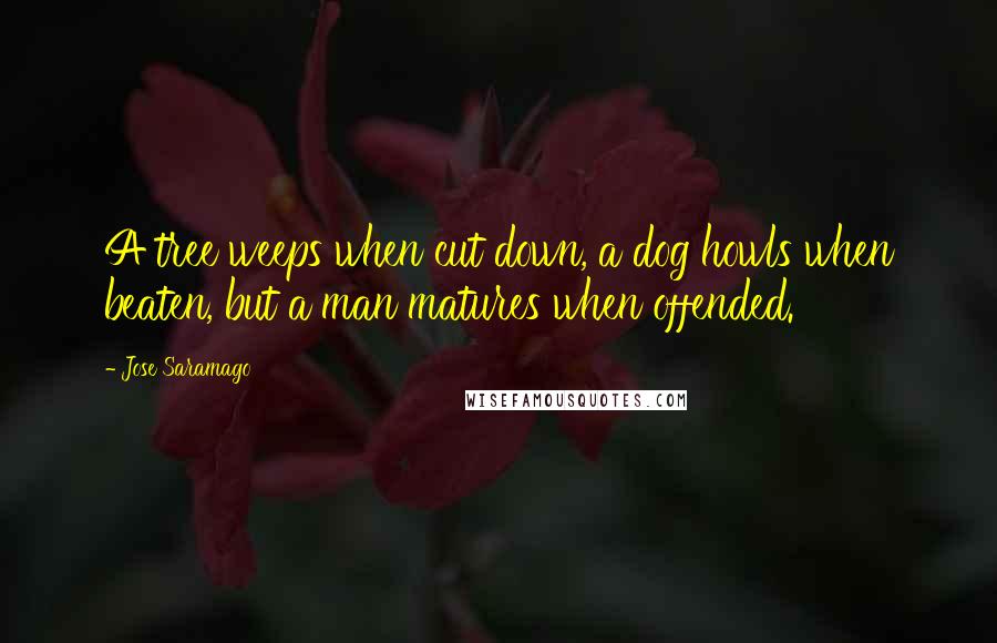Jose Saramago Quotes: A tree weeps when cut down, a dog howls when beaten, but a man matures when offended.