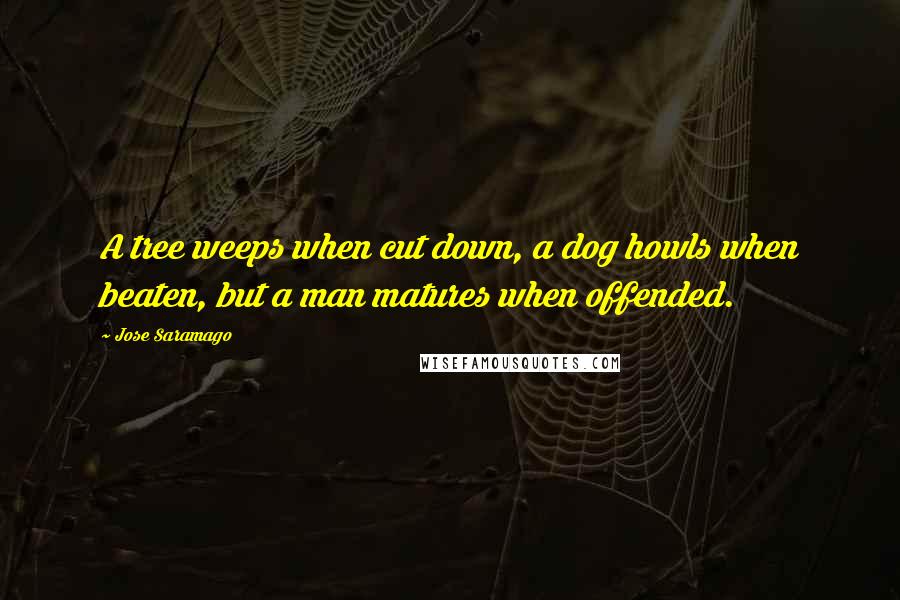 Jose Saramago Quotes: A tree weeps when cut down, a dog howls when beaten, but a man matures when offended.