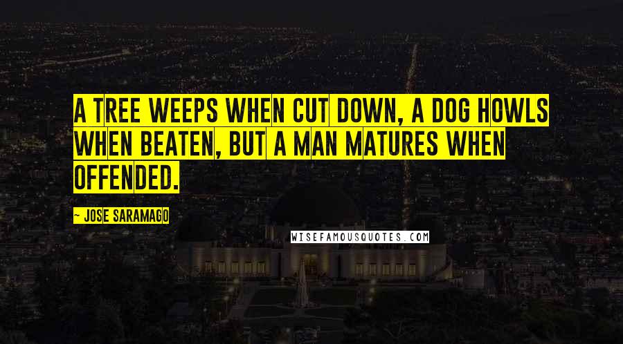 Jose Saramago Quotes: A tree weeps when cut down, a dog howls when beaten, but a man matures when offended.