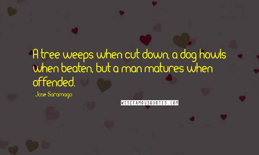 Jose Saramago Quotes: A tree weeps when cut down, a dog howls when beaten, but a man matures when offended.