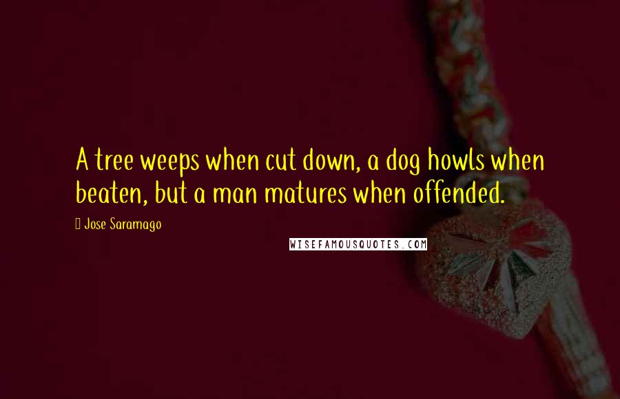 Jose Saramago Quotes: A tree weeps when cut down, a dog howls when beaten, but a man matures when offended.