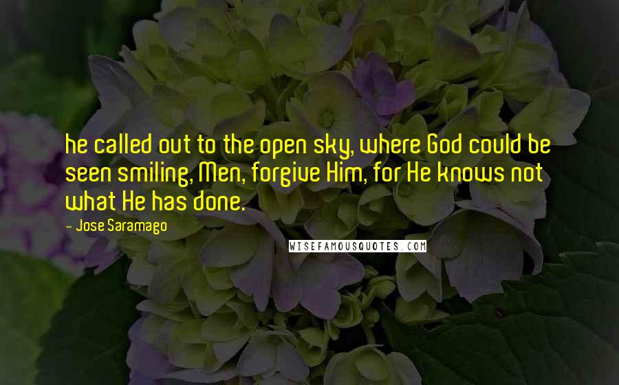 Jose Saramago Quotes: he called out to the open sky, where God could be seen smiling, Men, forgive Him, for He knows not what He has done.