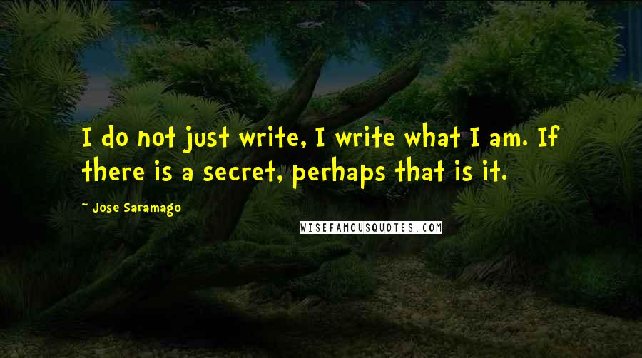 Jose Saramago Quotes: I do not just write, I write what I am. If there is a secret, perhaps that is it.