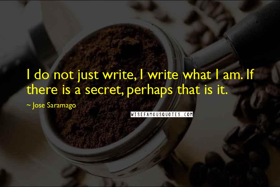 Jose Saramago Quotes: I do not just write, I write what I am. If there is a secret, perhaps that is it.