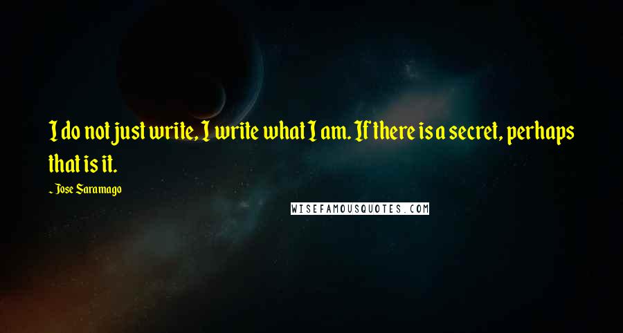 Jose Saramago Quotes: I do not just write, I write what I am. If there is a secret, perhaps that is it.