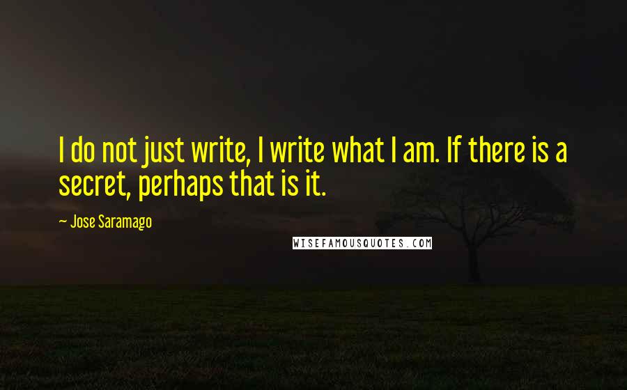 Jose Saramago Quotes: I do not just write, I write what I am. If there is a secret, perhaps that is it.