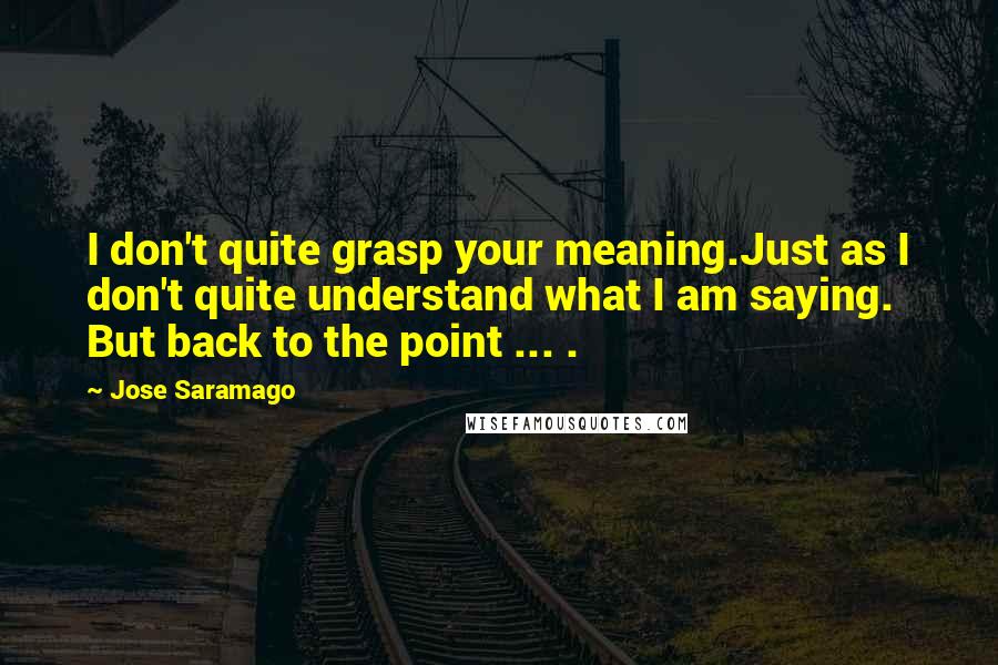 Jose Saramago Quotes: I don't quite grasp your meaning.Just as I don't quite understand what I am saying. But back to the point ... .