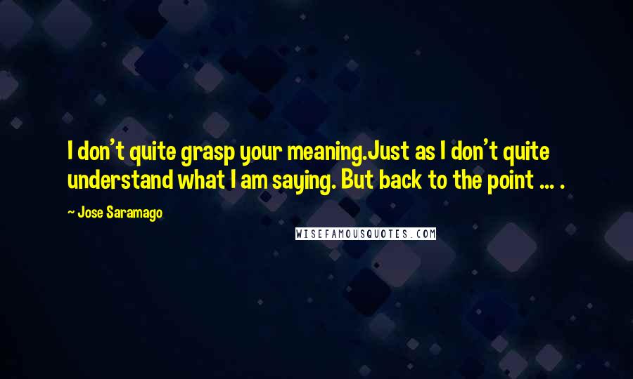 Jose Saramago Quotes: I don't quite grasp your meaning.Just as I don't quite understand what I am saying. But back to the point ... .