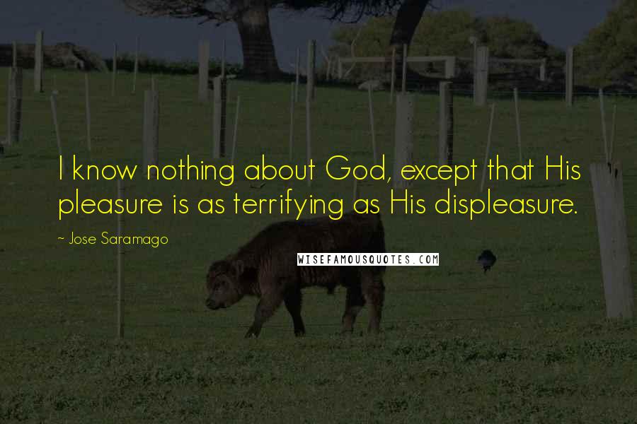 Jose Saramago Quotes: I know nothing about God, except that His pleasure is as terrifying as His displeasure.