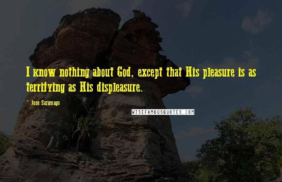 Jose Saramago Quotes: I know nothing about God, except that His pleasure is as terrifying as His displeasure.