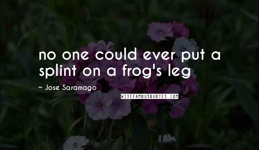 Jose Saramago Quotes: no one could ever put a splint on a frog's leg