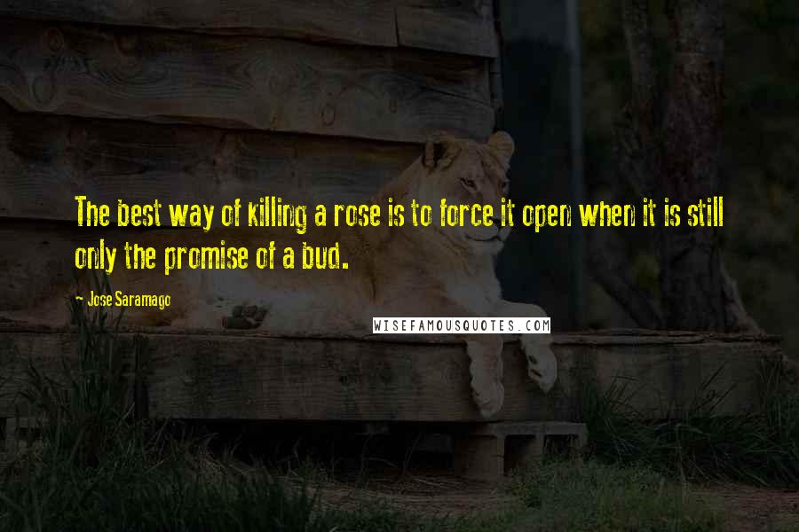 Jose Saramago Quotes: The best way of killing a rose is to force it open when it is still only the promise of a bud.