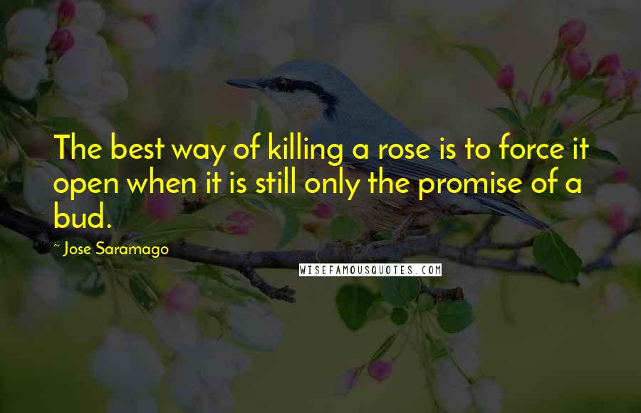 Jose Saramago Quotes: The best way of killing a rose is to force it open when it is still only the promise of a bud.