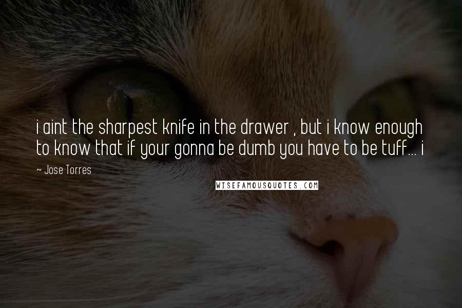 Jose Torres Quotes: i aint the sharpest knife in the drawer , but i know enough to know that if your gonna be dumb you have to be tuff... i