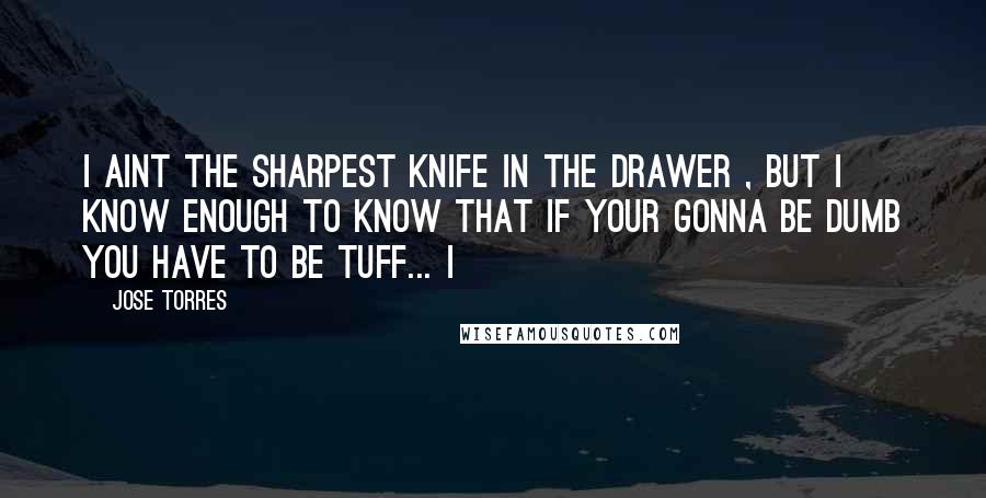 Jose Torres Quotes: i aint the sharpest knife in the drawer , but i know enough to know that if your gonna be dumb you have to be tuff... i