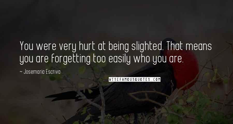 Josemaria Escriva Quotes: You were very hurt at being slighted. That means you are forgetting too easily who you are.