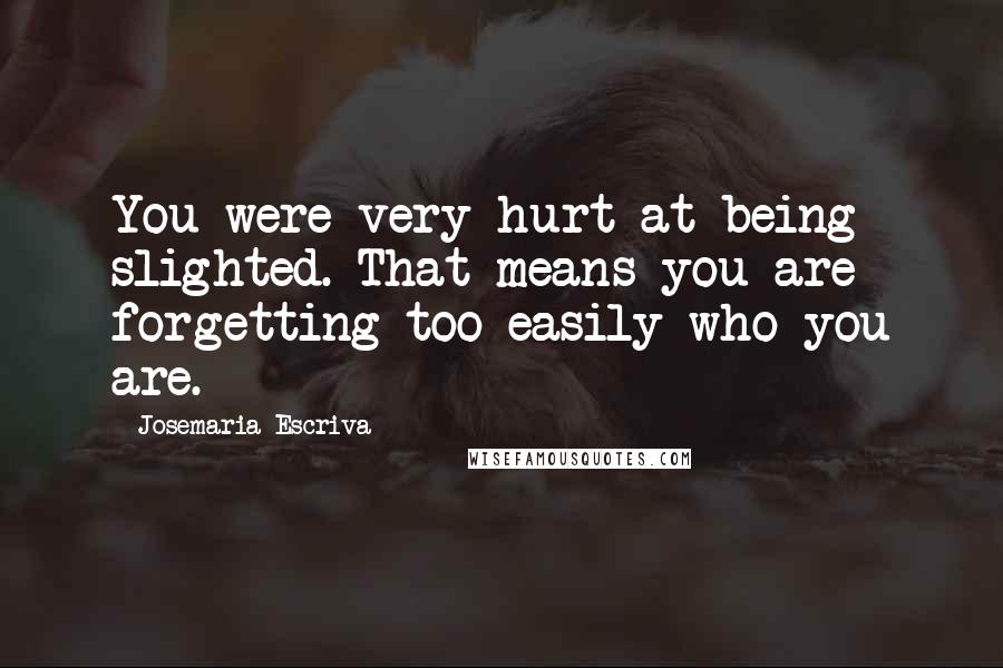 Josemaria Escriva Quotes: You were very hurt at being slighted. That means you are forgetting too easily who you are.