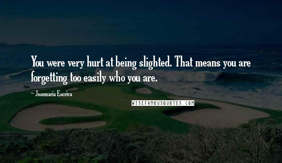 Josemaria Escriva Quotes: You were very hurt at being slighted. That means you are forgetting too easily who you are.