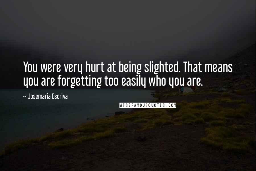 Josemaria Escriva Quotes: You were very hurt at being slighted. That means you are forgetting too easily who you are.