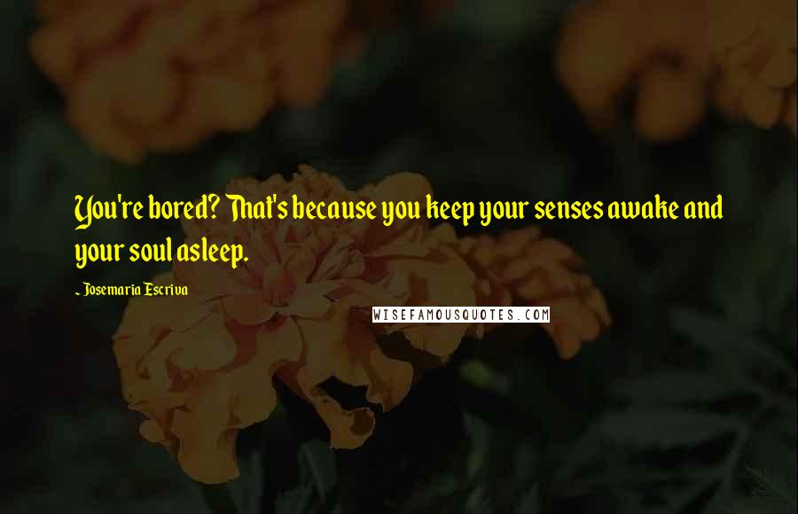 Josemaria Escriva Quotes: You're bored? That's because you keep your senses awake and your soul asleep.