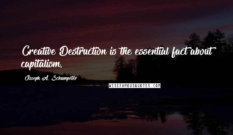 Joseph A. Schumpeter Quotes: Creative Destruction is the essential fact about capitalism.