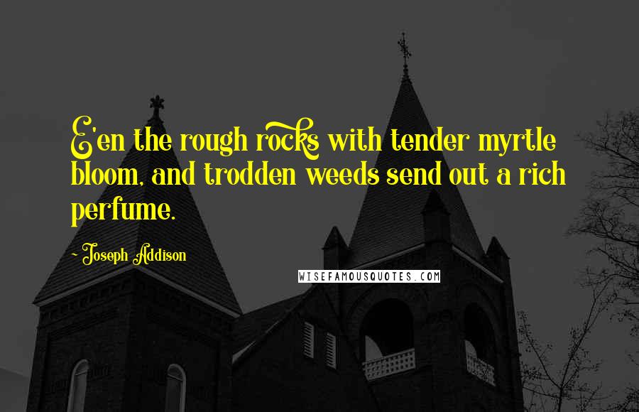 Joseph Addison Quotes: E'en the rough rocks with tender myrtle bloom, and trodden weeds send out a rich perfume.