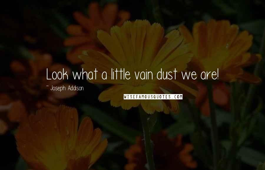 Joseph Addison Quotes: Look what a little vain dust we are!